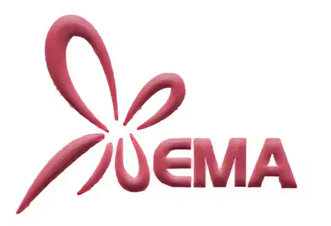 Xema logo
